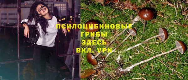 jwh Зеленодольск