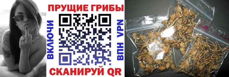 Купить  Мыски  Псилоцибиновые грибы Magic Shrooms 